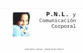 Conferencia Pnl y Comunicacion Corporal