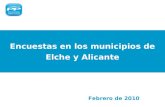 Encuestas en los municipios de Elche y Alicante Febrero de 2010.