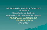 Ministerio de Justicia y Derechos Humanos Secretaría de Justicia Subsecretaría de Política Criminal PROGRAMA NACIONAL DE CRIMINALISTICA Año 2013.