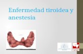 Enfermedad tiroidea y anestesia. Fisiología • Tiroides del adulto: 15-20 gr • Formada por folículos que contiene coloide con tiroglobulina • Producción.