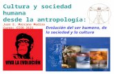 Cultura y sociedad humana desde la antropología: Juan E. Marcano Medina Curso: CISO 3121 Evolución del ser humano, de la sociedad y la cultura.
