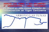 ARROYO LAS TUNAS Y SUS AFLUENTES A° DARRAGUEYRA Y CANAL PATAGONIA El Mayor y más Grave Ejemplo de Contaminación en Tigre Continente.