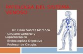 Patologia Del Sistema Venoso Mayo 2011