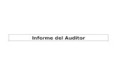 Informe del Auditor. 2 Proceso de Auditoría Planificación: Determinación del Enfoque Ejecución : Aplicación de los procedimientos y obtención de evidencias.