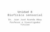 Unidad 8 Biofísica sensorial Dr. Juan José Aranda Aboy Profesor e Investigador Titular.