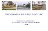 PROGRAMA BARRIO SEGURO ALEJANDRA LÜNECKE R. Universidad Jesuita Alberto Hurtado Chile.