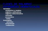 CLASES DE PALABRAS CATEGORÍAS GRAMATICALES Variables -sustantivo o nombre -adjetivo calificativos -adjetivo determinativo -artículos -pronombre -verbo.