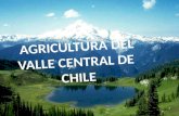 Valle Central -El Valle Central de Chile es una gran depresión geológica - Ocupa la Cordillera Occidental de los Andes y la Cordillera de la Costa, con.