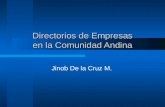 Directorios de Empresas en la Comunidad Andina Jinob De la Cruz M.