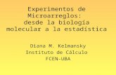 Experimentos de Microarreglos: desde la biología molecular a la estadística Diana M. Kelmansky Instituto de Cálculo FCEN-UBA.