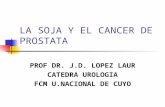 LA SOJA Y EL CANCER DE PROSTATA PROF DR. J.D. LOPEZ LAUR CATEDRA UROLOGIA FCM U.NACIONAL DE CUYO.