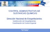 Www.dne.gov.co PBX: 4870088 CONTROL ADMINISTRATIVO DE SUSTANCIAS QUIMICAS Dirección Nacional de Estupefacientes Subdirección de Estupefacientes Coordinación.