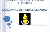C URSO I NTERNACIONAL DE T UMORES SARCOMAS DE PARTES BLANDAS Dr. Romeo Técualt Gómez.