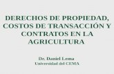 DERECHOS DE PROPIEDAD, COSTOS DE TRANSACCIÓN Y CONTRATOS EN LA AGRICULTURA Dr. Daniel Lema Universidad del CEMA.