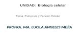 PROFRA. MA. LUCILA ANGELES MEJÌA Tema: Estructura y Función Celular UNIDAD: Biología celular.