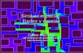 Sintaxis espacial: Redes y escalas Carlos Reynoso UNIVERSIDAD DE BUENOS AIRES .