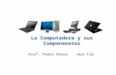 La Computadora y sus Componenetes Prof. Pedro Pérez Hum 116.