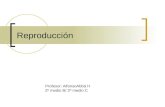 Reproducción Profesor: AlfonsoAbbá H 2º medio B/ 2º medio C.