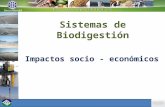 Sistemas de Biodigestión Impactos socio - económicos.