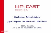 Workshop Estratégico ¿Qué espero de HP-CAST Ibérica? CICA, Sevilla 13 y 14 de noviembre de 2008.