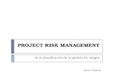PMBOK - Project Risk Management (capitulo 11)