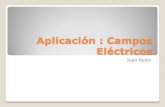 Proyecto Campos Electricos - Programador Servicios 3d