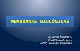 MEMBRANAS BIOLÓGICAS Dr. Carlos Morales A. Cardiólogo Pediatra UPCP – Hospital Coquimbo.