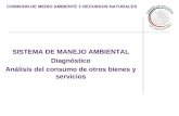 COMISION DE MEDIO AMBIENTE Y RECURSOS NATURALES SISTEMA DE MANEJO AMBIENTAL Diagnóstico Análisis del consumo de otros bienes y servicios.