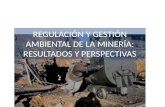 REGULACIÓN Y GESTIÓN AMBIENTAL DE LA MINERÍA: RESULTADOS Y PERSPECTIVAS.