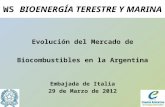 Evolución del Mercado de Biocombustibles en la Argentina Embajada de Italia 29 de Marzo de 2012 WS BIOENERGÍA TERESTRE Y MARINA.