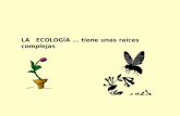 Ecologia, San Antonio de Jesús