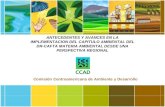 Comisión Centroamericana de Ambiente y Desarrollo ANTECEDENTES Y AVANCES EN LA IMPLEMENTACION DEL CAPITULO AMBIENTAL DEL DR-CAFTA MATERIA AMBIENTAL DESDE.
