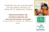 Oportunidades de fortalecimiento de micronutrientes en papa M. Bonierbale, G. Burgos, W. Amoros, E. Salas Contribución de la diversidad de las papas nativas.