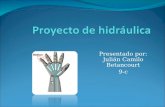 Presentado por: Julián Camilo Betancourt 9-c. Tabla de contenido Materiales Desarrollo del proyecto Conclusión Fotografías.