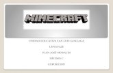 Minecraft expo