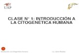CLASE 1 - Introducción a la Citogenética Humana-Parte 1
