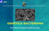 04 Aula Genética bacteriana