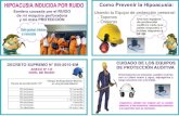 Afiche Salud Ocupacional Neumoconiosis - Hipoacusia Inducida por Ruido.pdf
