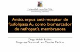 Anti- Receptor Fosfolipasa A2 y Nefropatía membranosa