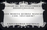 Presentacion trabajo de reconocimiento. biodiversidad