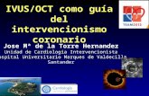 Dr José María de la Torre Hernández presentación IVUS y OCT en TEAM 2013