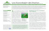 Los Escarabajos del Pepino: Manejo Integrado de Plagas — MIP Orgánico y Bioracional