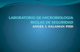 Laboratorio de Microbiologia Seguridad