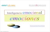 2012.12.13.inteligencia emocional emociones