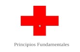 Principios Cruz Roja