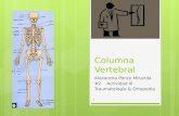 Anatomía Básica de Columna