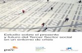 Estudio sobre el presente y futuro del tercer sector social en un entorno de crisis
