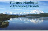 Parque Nacional Denali