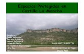 Medio Ambiente. Espacios Naturales Protegidos en Castilla La Mancha