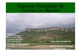 Medio Ambiente:Espacios Protegidos en Castilla La Mancha